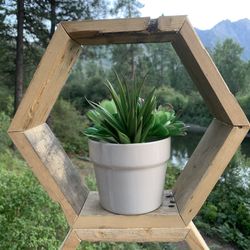 Rustic 12” hexagon shelf $10