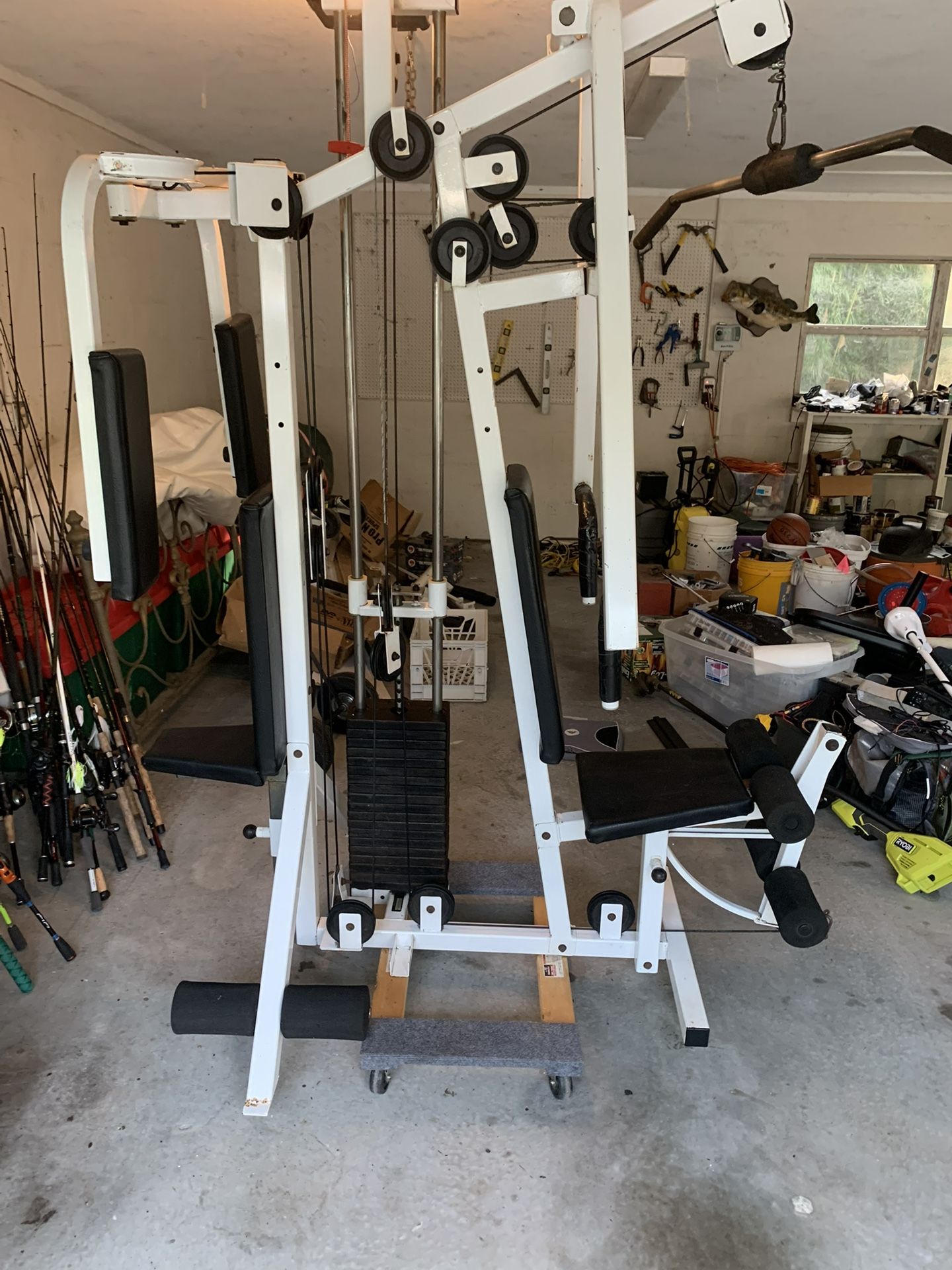 Gym Equipment 
