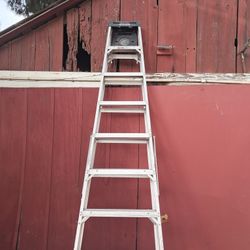 10ft Aluminum Ladder