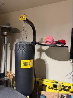 Punching Bag with Stand