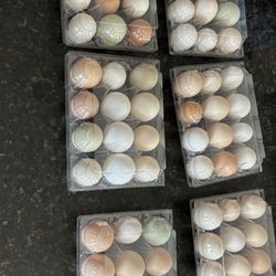Eggs Sale 