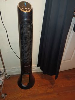 Fan