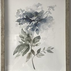 Framed Artwork - Two Piece Set 15" x 19" each