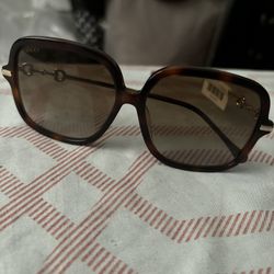 Gucci Sun Glasses 