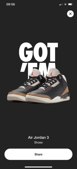 Air Jordan 3 Desert Elephant