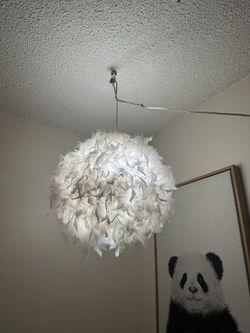 Feather, Plug-In, Swag Light