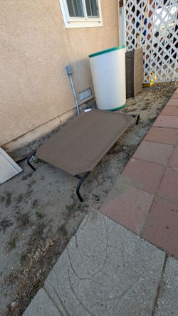 Large elevated dog bed