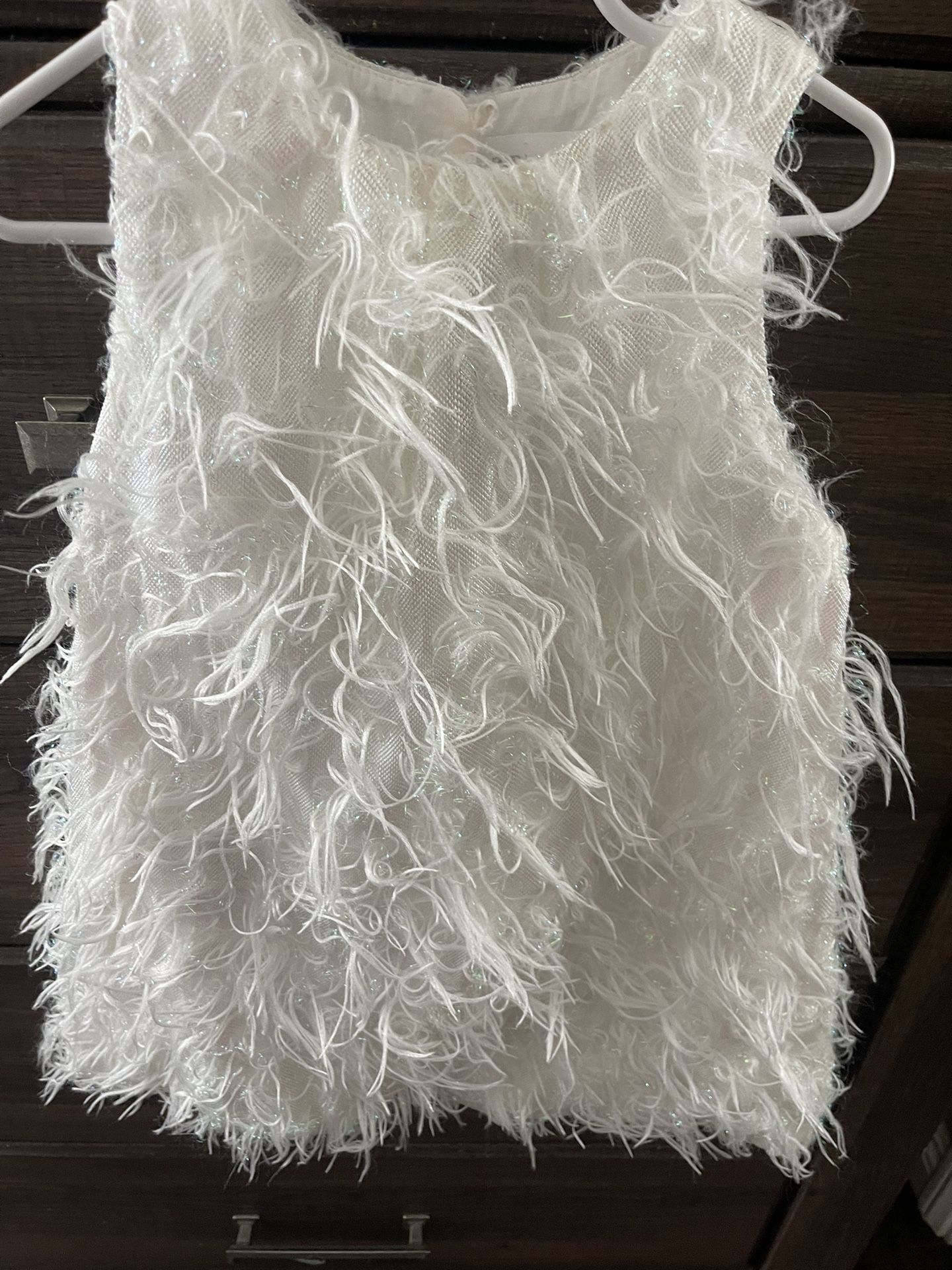 Zara Feather Dress