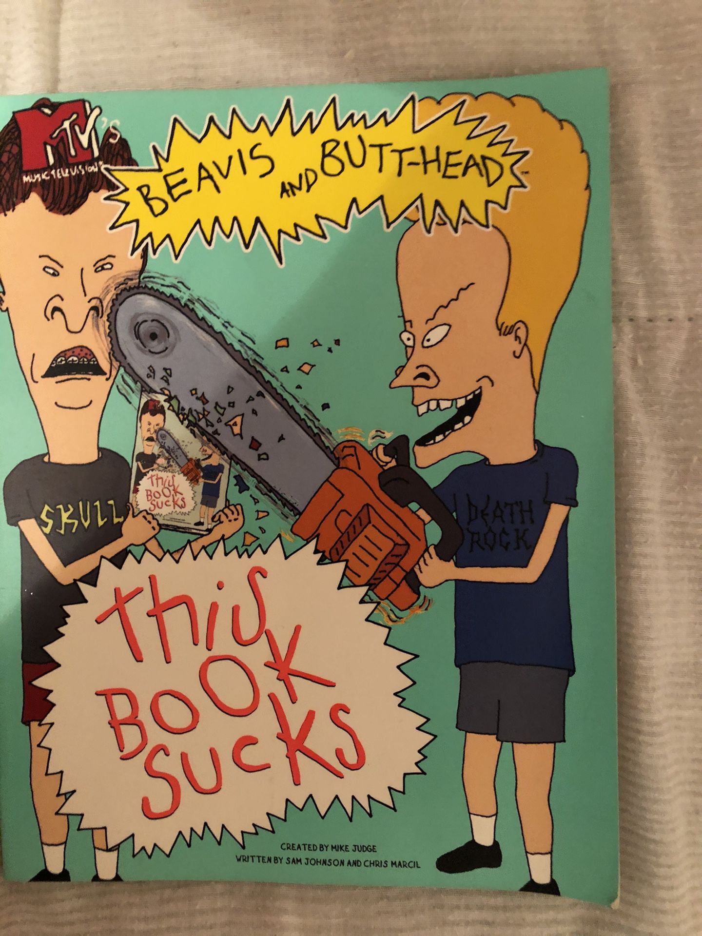 Beavis n Butthead “this book sucks” book
