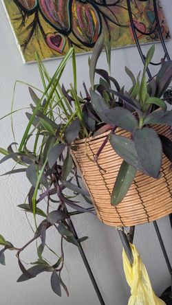 Plant & Bamboo Planter