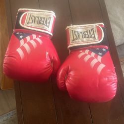 Everlast Boxing Gloves Size 14