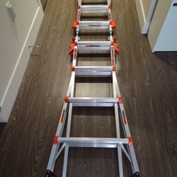 Little Giant Velocity Ladder