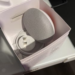 Google Home Mini