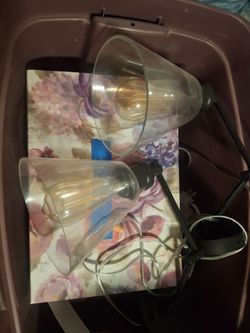 Wired or plug in glass sconces lights