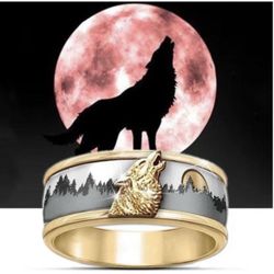 Gorgeous 14K Plated Men’s Rings … Large Selection… (Sizes 7-14 Small-Extra Large) Any Ring Only $65 Each