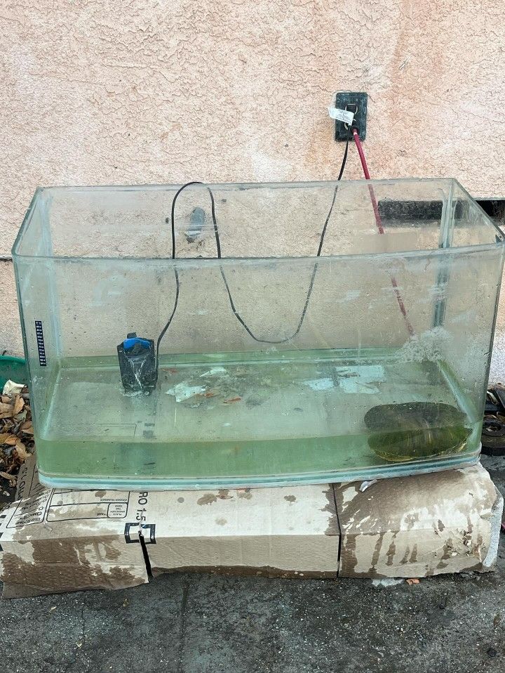 Free Fish Tank