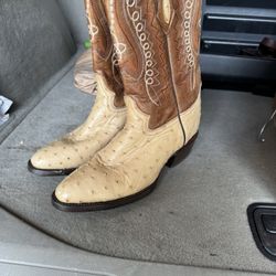 Ostrich Boots 