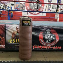 Punching Bag 