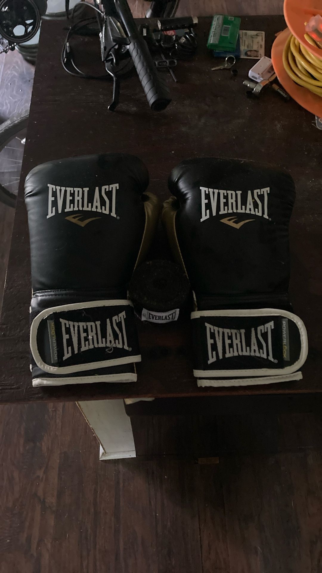 Everlast Boxing Gloves