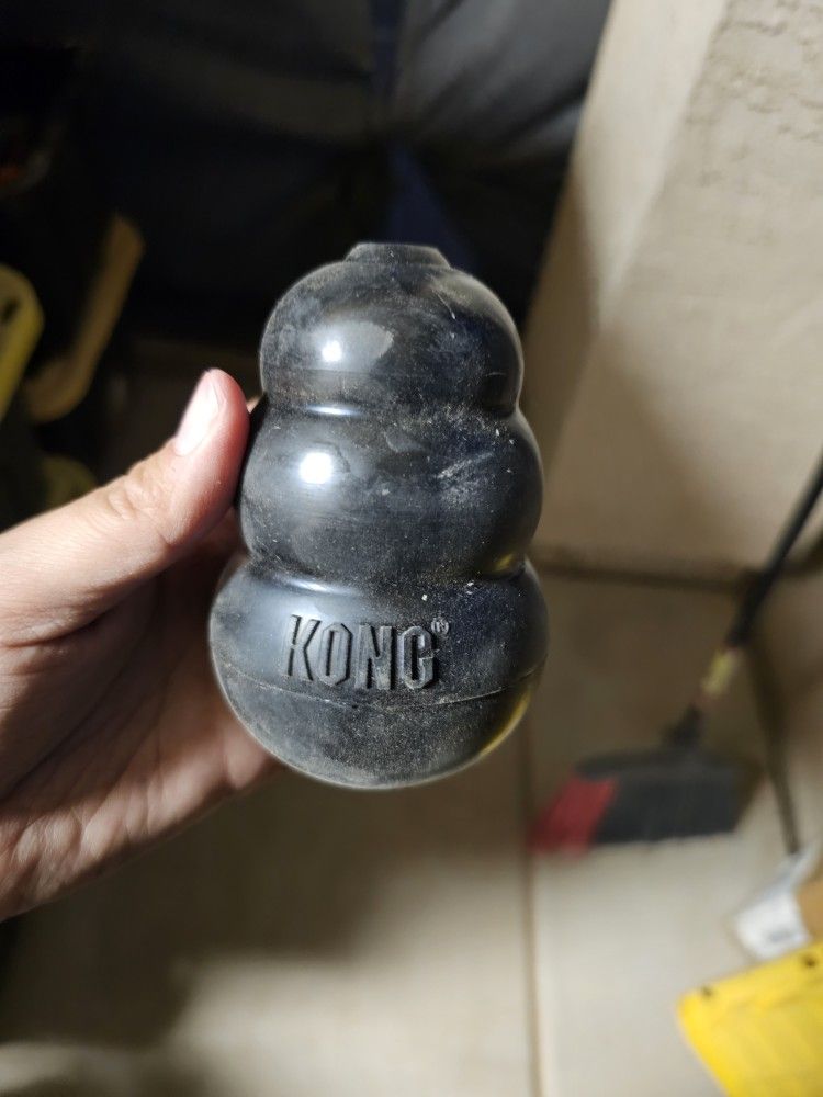 KONG Extreme Dog Toy, Medium
By KONG