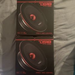 2 Ds18 Speakers 