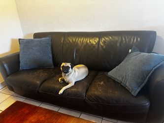 Free leather couch