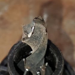 Drill Bit Sharpening