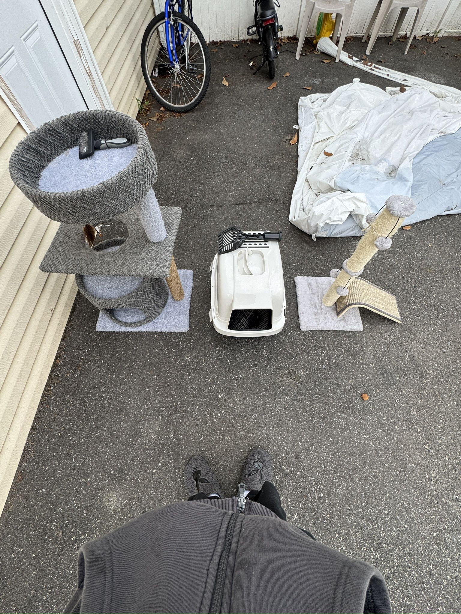 cat stuff