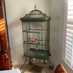 Bird Cage