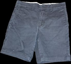 Shorts American Eagle Navy Blue Size 30