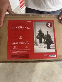 Christmas trees In Pots