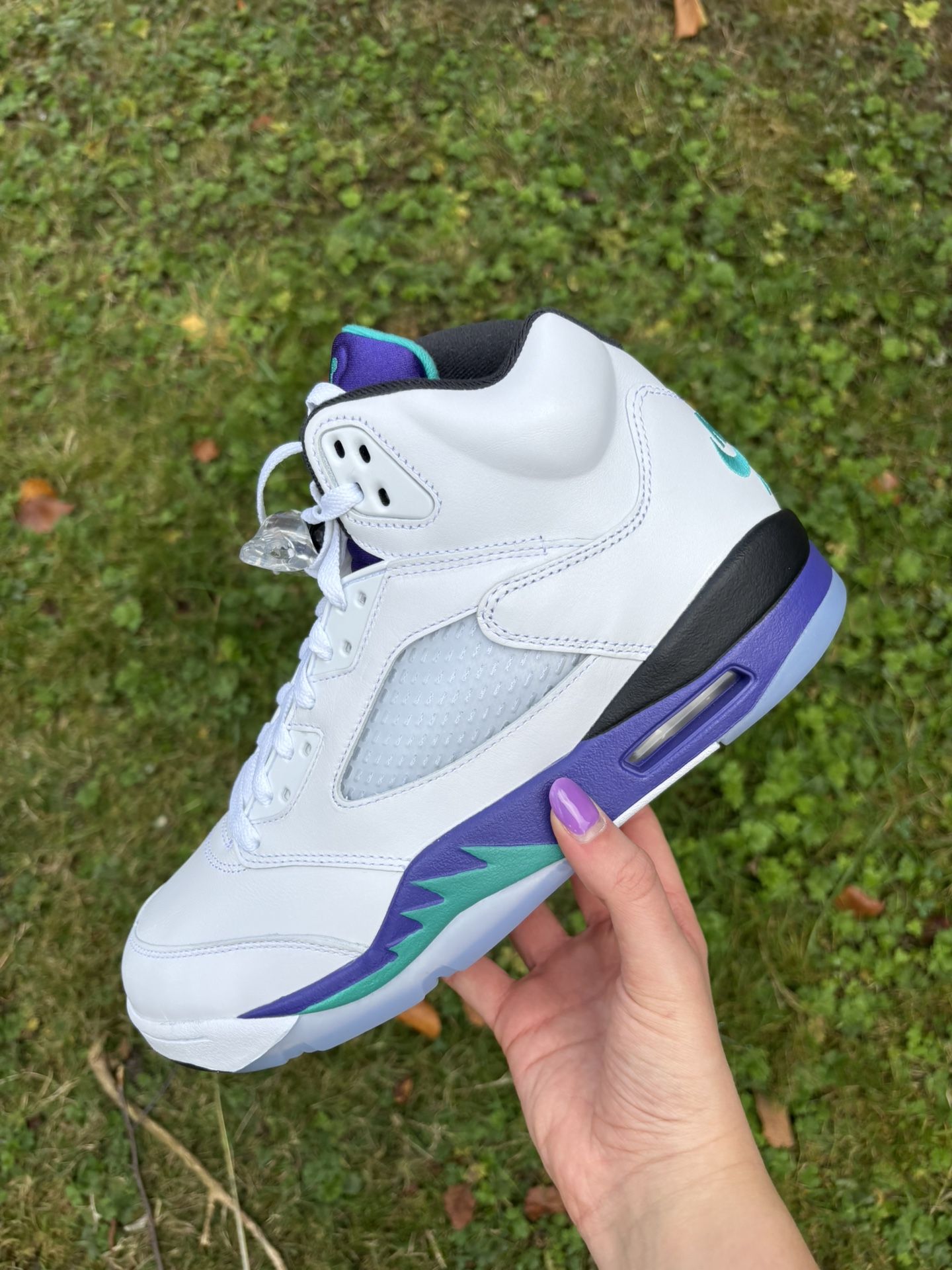 Jordan 5 Grape