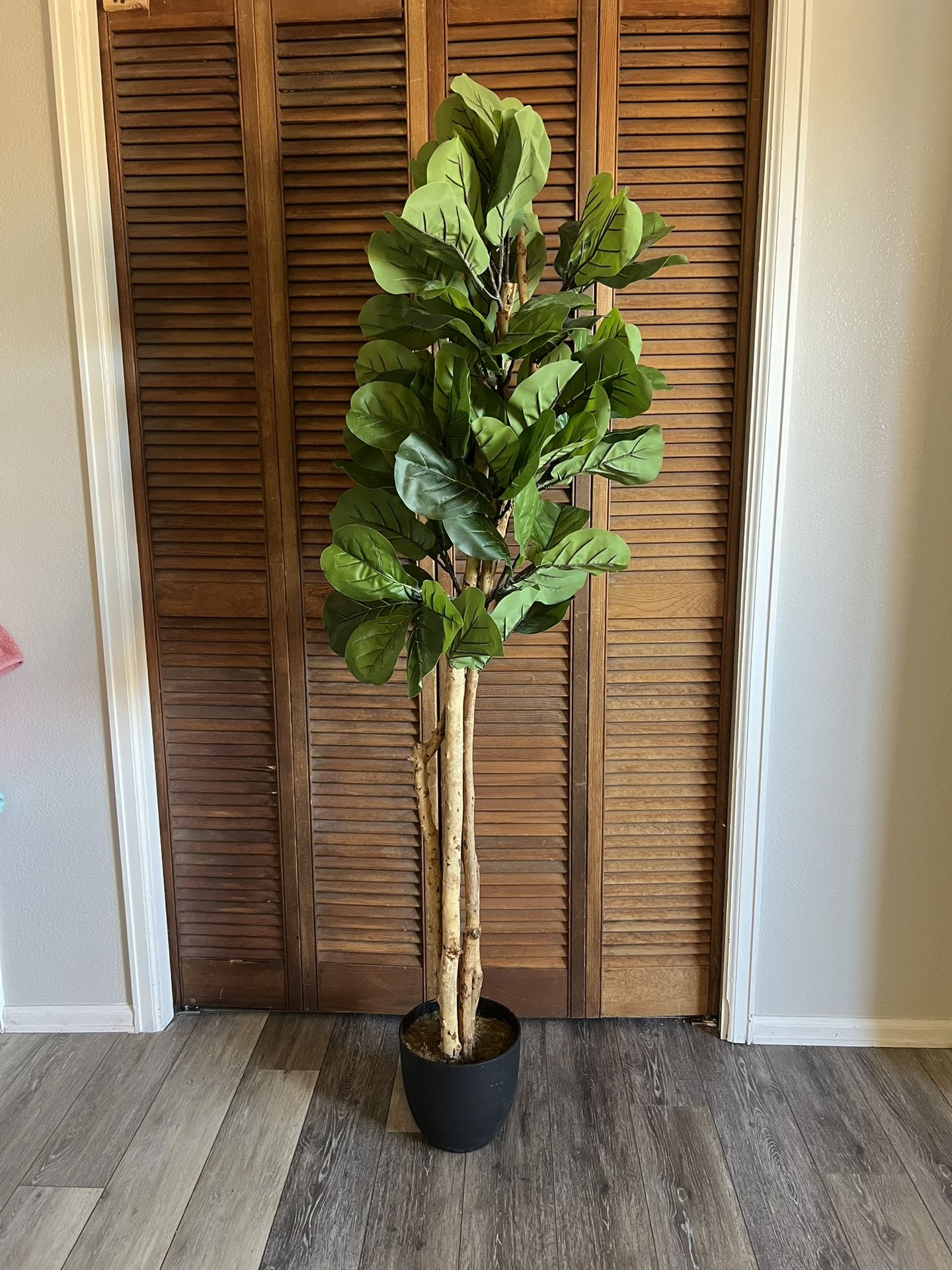 House Tree