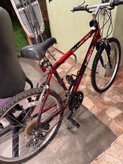 Bicicleta