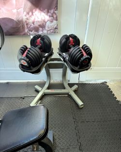 Bowflex adjustable Dumbbells & stand