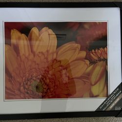 Photo Frame 18x24. Brand New