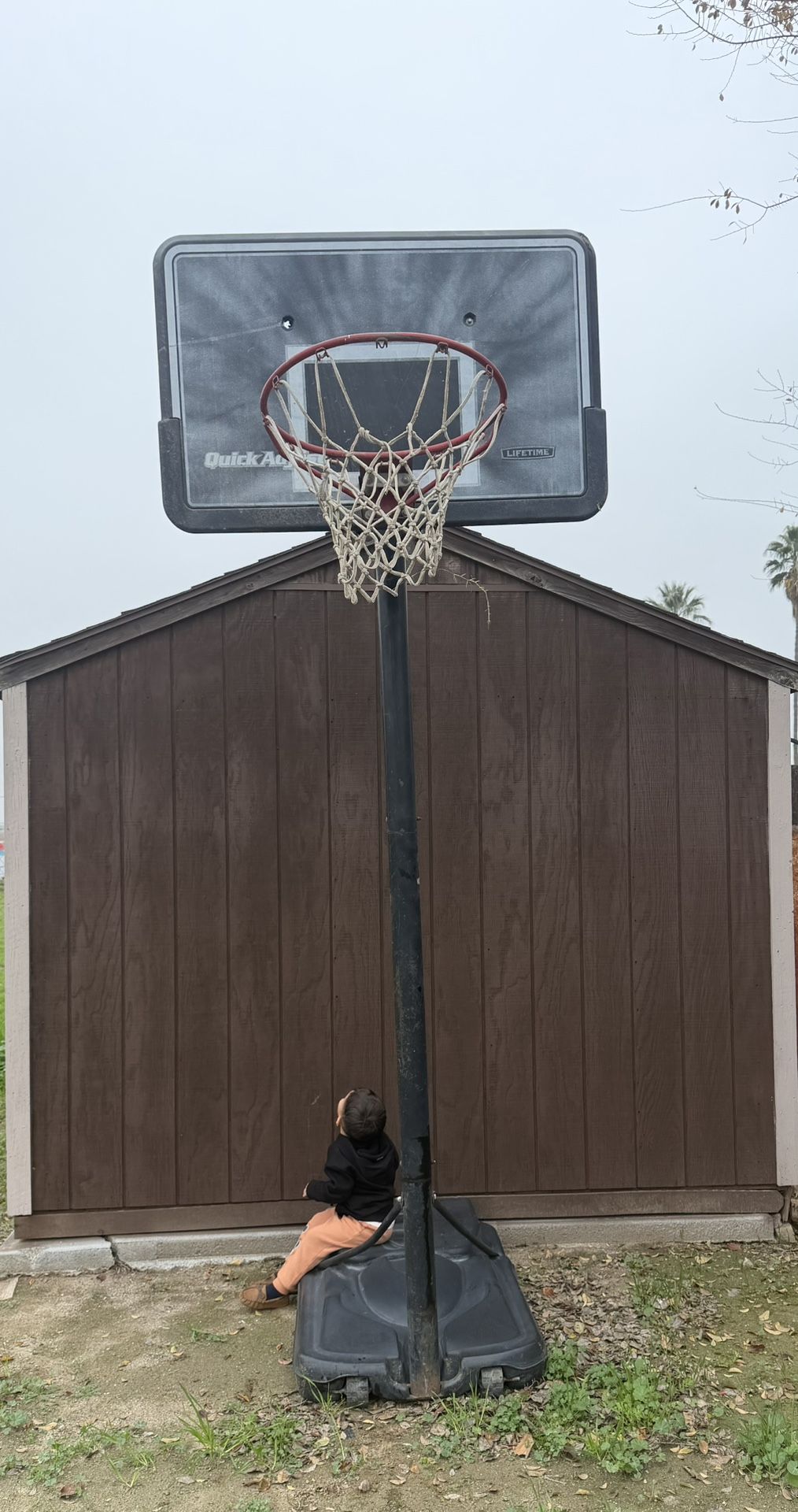 Basketball Hoop