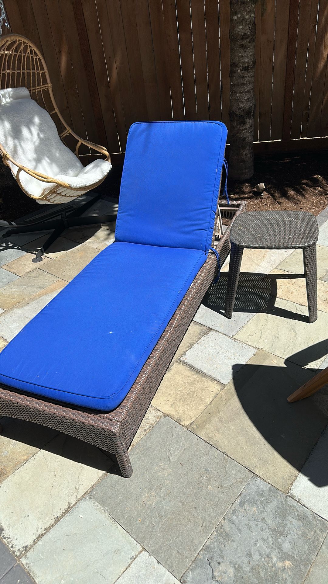 Outdoor Lounger with Cushion