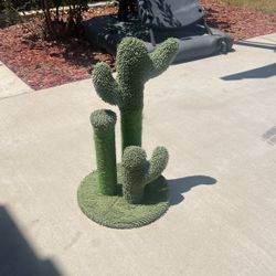Cactus Cat Scratcher 