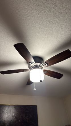 Ceiling Fan