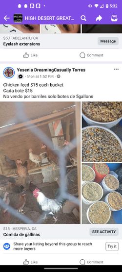 Comida Para Gallinas