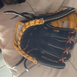 Pro Spalding Glove Baseball 