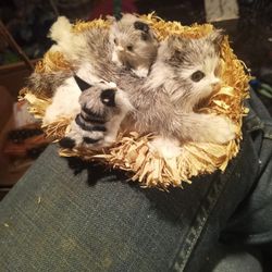 Vintage Real Fur Kitty Cats Collectable 