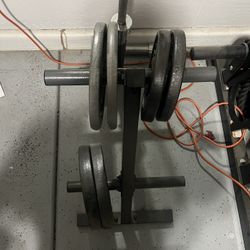 Olympic Weight Tree And Weights 