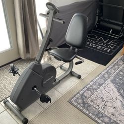 Weslo  Stationary Bike
