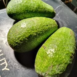 Avocados 3 For $1