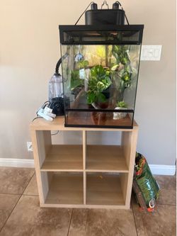 Full chameleon set up