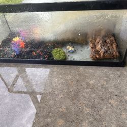 20 gallon fish tank just paid $100 for it. Mike, knew needs to be cleaned.
