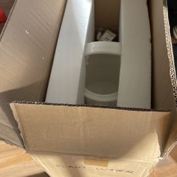 Vase Flower  Plant Water Pitcher