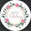 Shelsey 